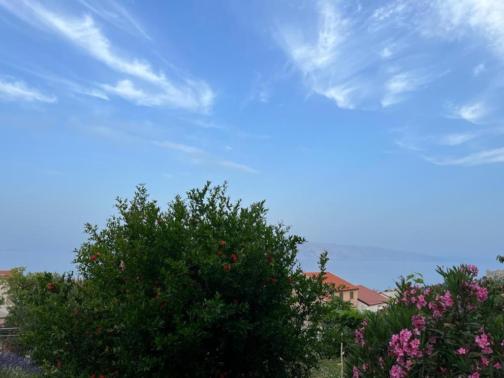 Apartment Verda Senj  Eksteriør billede