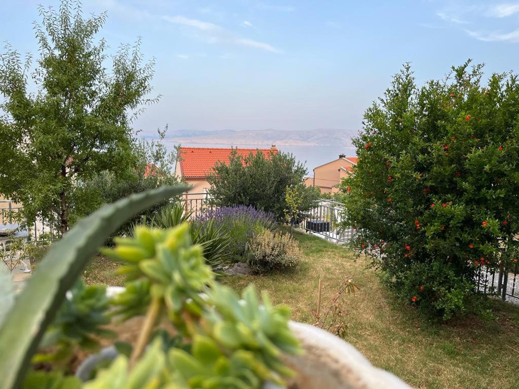 Apartment Verda Senj  Eksteriør billede