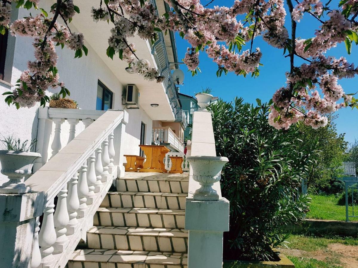 Apartment Verda Senj  Eksteriør billede